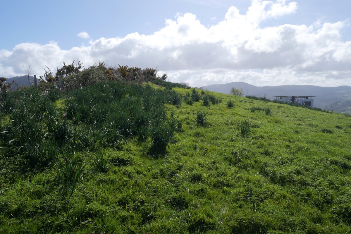 Ameztimendi tontorra mendebaldetik