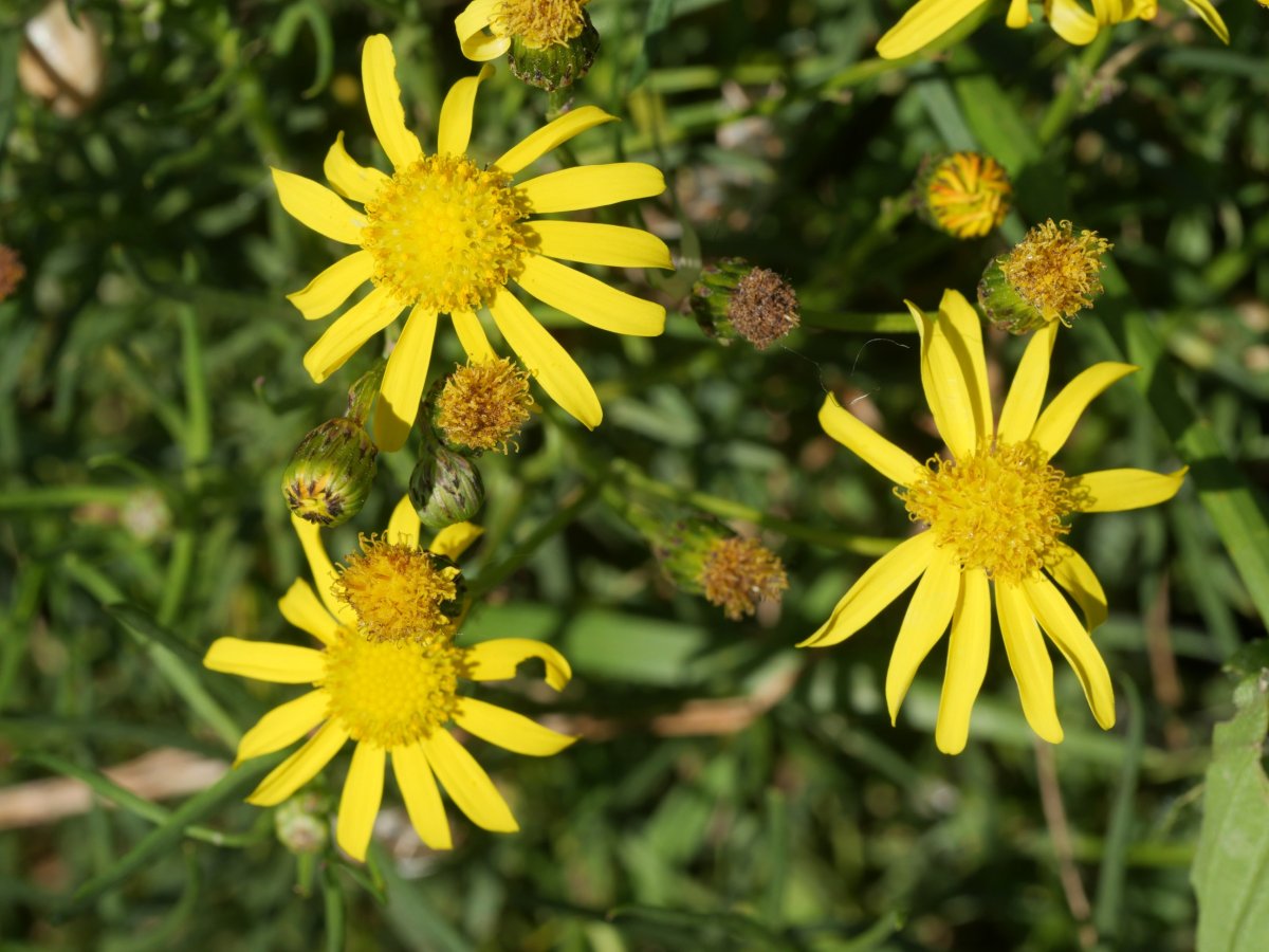 Bideak, arekak, etzeak eta lurra eraldatuta dagoen beste leku batzuk