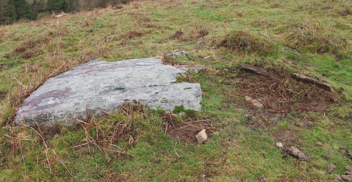 Urganbide trikuharria, Goizueta