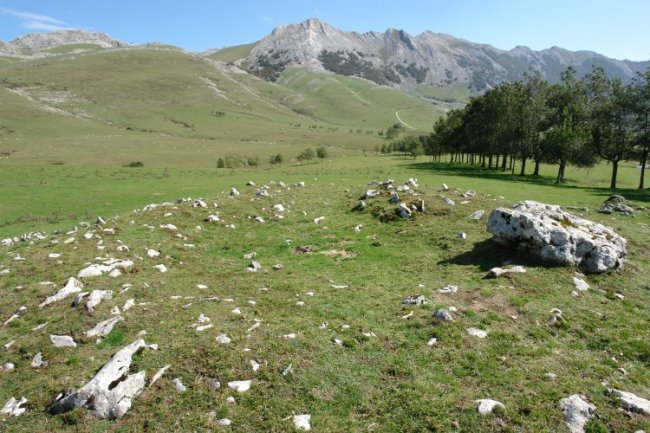 Gorostiaran mendebalekoa trikuarria