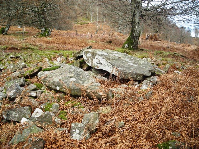 Urrixka 3ko trikuharria