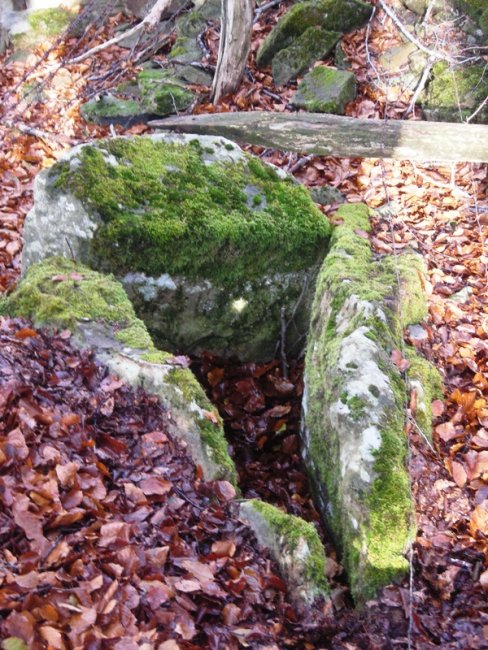 Saratxakolegiko  trikuharria