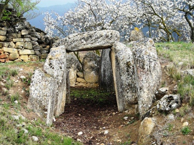 San Martin trikuharria