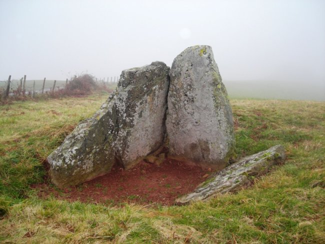 Armiaga  trikuharria