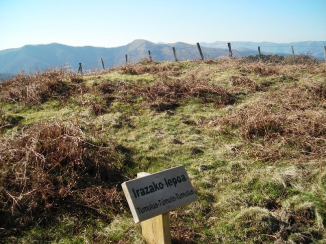 Irazako  lepoa  tumulua