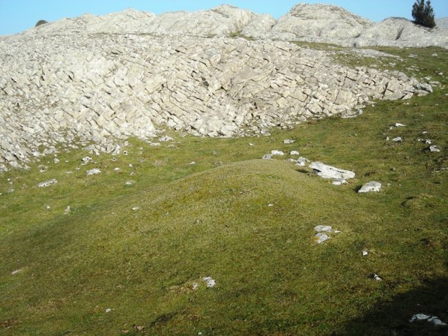 Sarasa Gañe fondo de cabaña