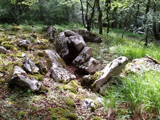 Arrate berri (Izeniturri II)