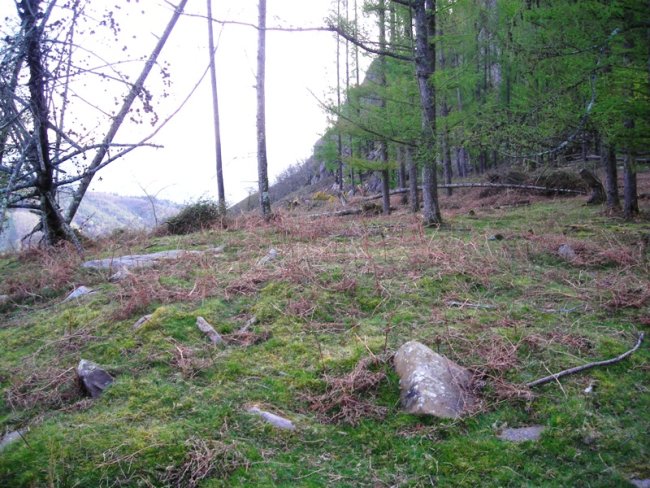 Ardizoko Armasa harrespila