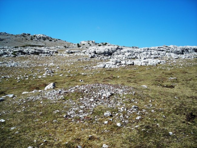 Peña Blanca tumulua