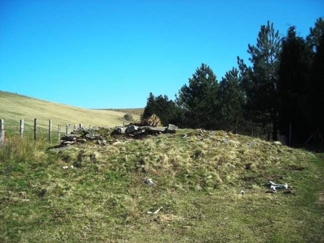 Irazako  trikuharria