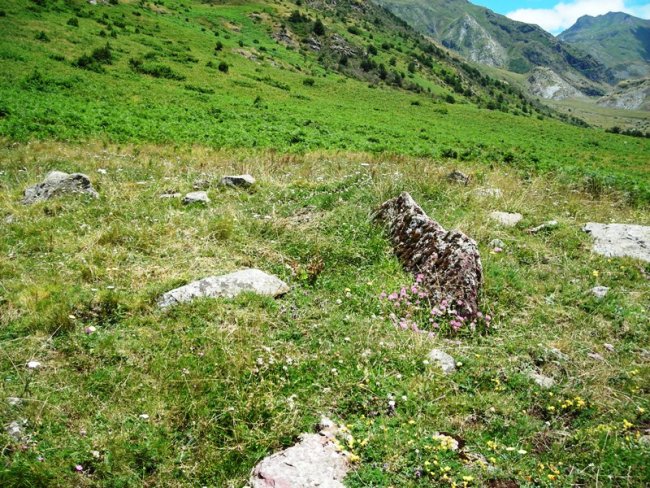 Las Fitas norte trikuharria