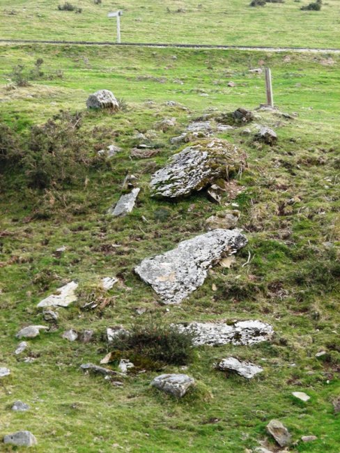 Sorogain trikuharria