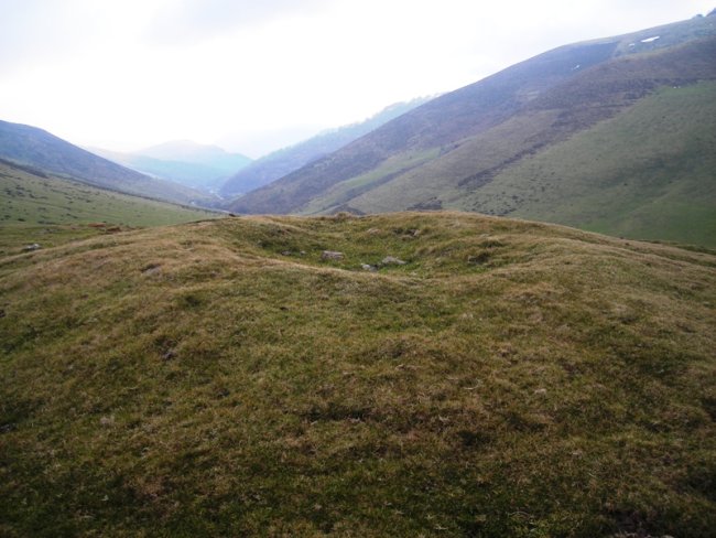 Xantxoten Harria trikuharria