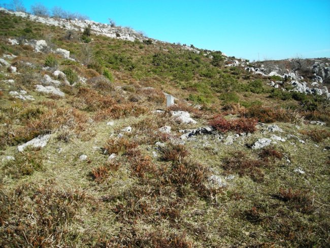 Aitzgain II trikuharria