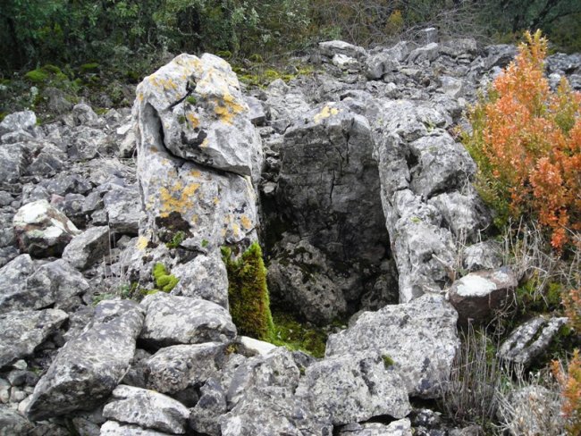 Boluntza 1 ipar trikuharria