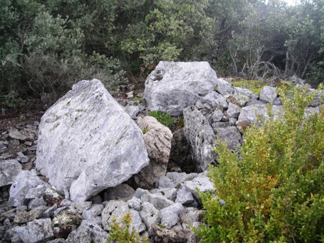 Boluntza 2 hego trikuharria