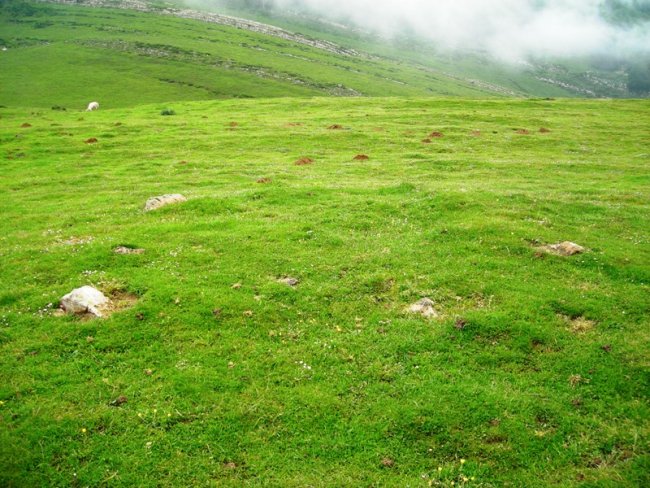 Azpegi  mendebalde harrespila