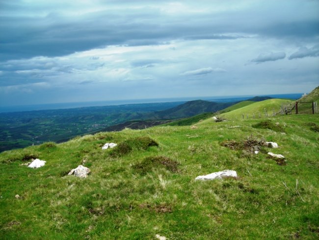 Antsestegi harrespila