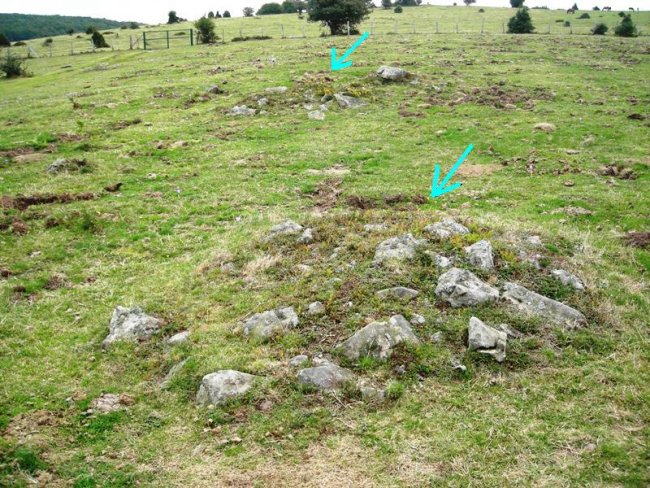 Ortxola eremu tumularra