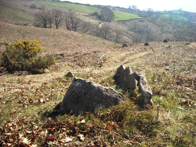 Legate  4  trikuharria