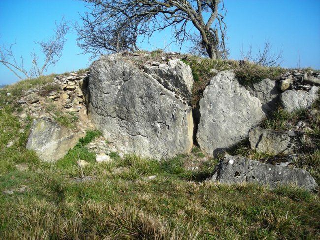 Gurpide hego trikuharria