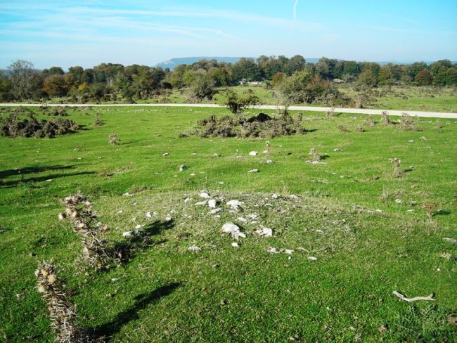 Rasos de Ezpola eremu tumularra