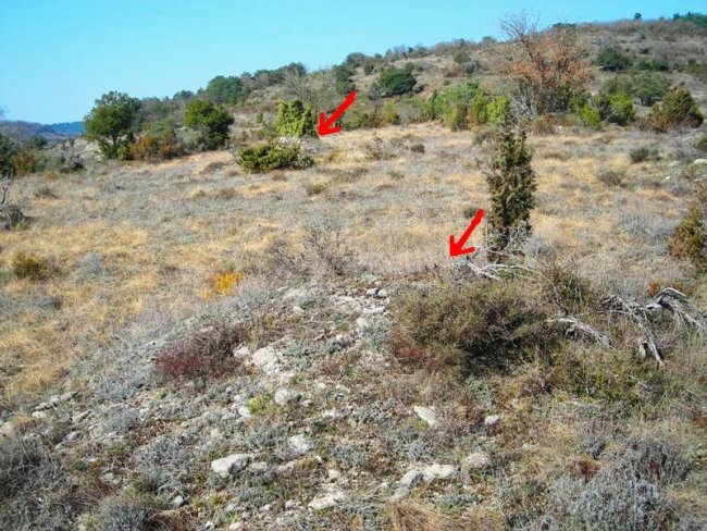 Güenda  eremu tumularra