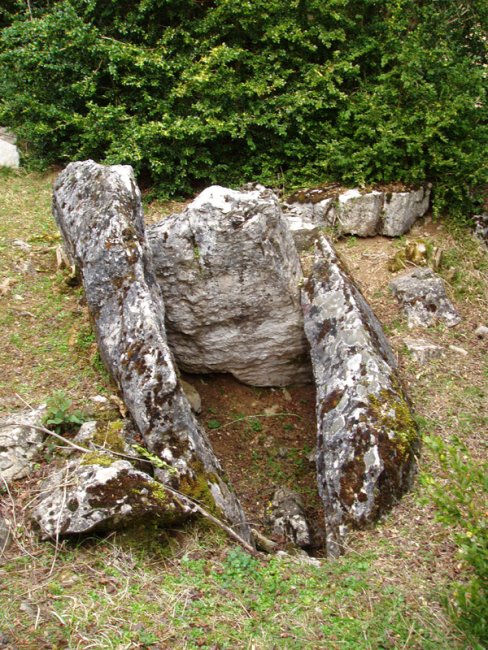 Balsa del Portillo de Ollate trikuharria