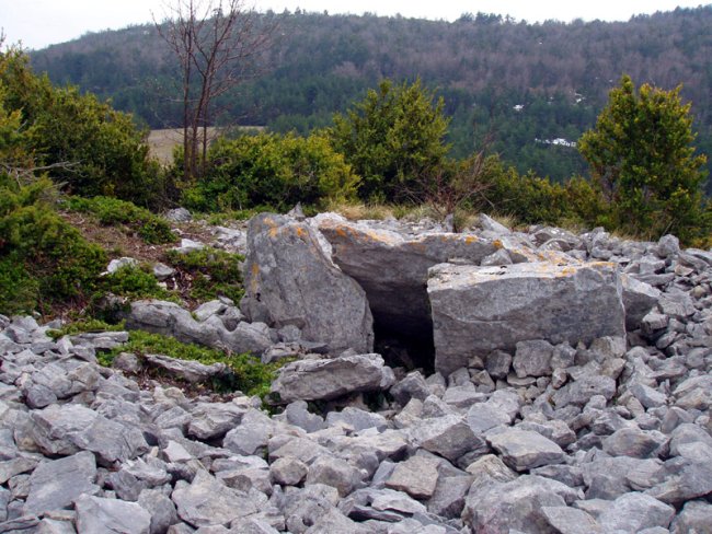 Puntallo de Capezas trikuharria