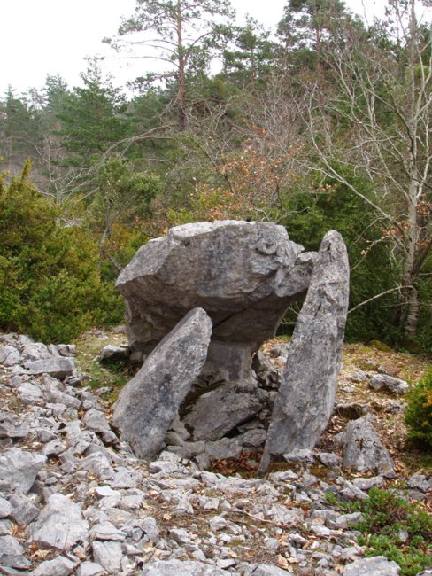 Claverito trikuharria