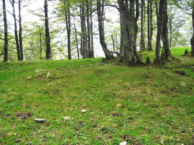 Arbilletako Lepoa tumulua