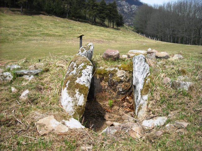 Zumaleku trikuharria