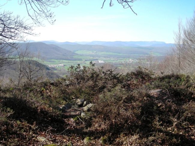 Xafran 2 trikuharria