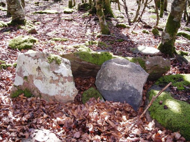 Bixurdiñeta 2  trikuharria