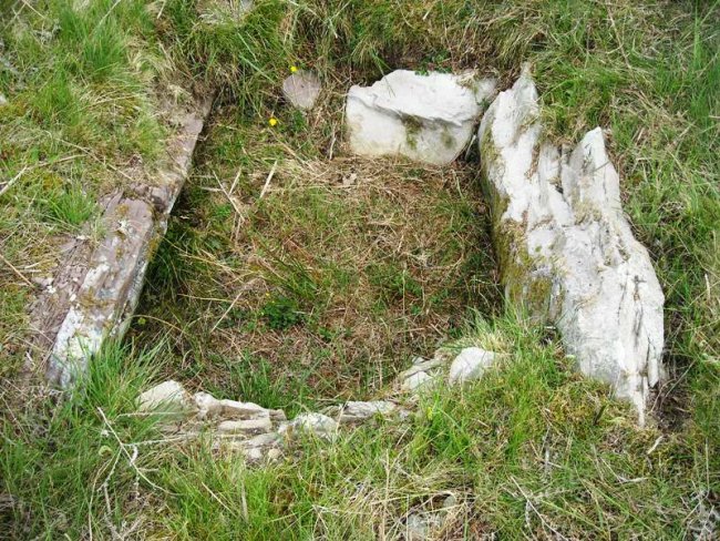 Erentzu mendebalde trikuharria