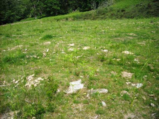 Faageko Erreka Ipar harrespila