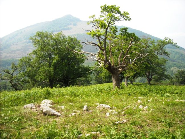 Faageko Erreka Hego   harrespila