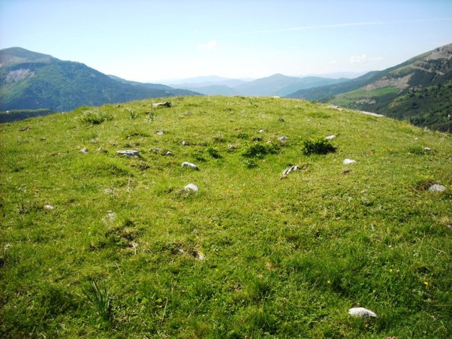 Loma de Chitón trikuharria