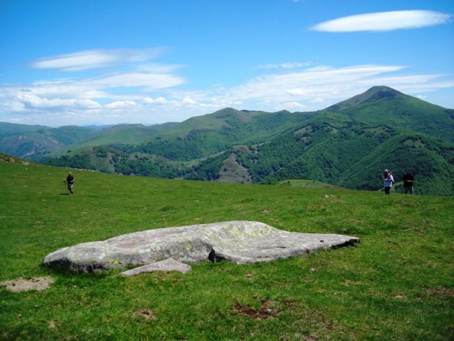 Argintzuko Lepoa 1 zutarria