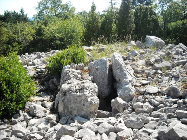 Sogoitia trikuharria