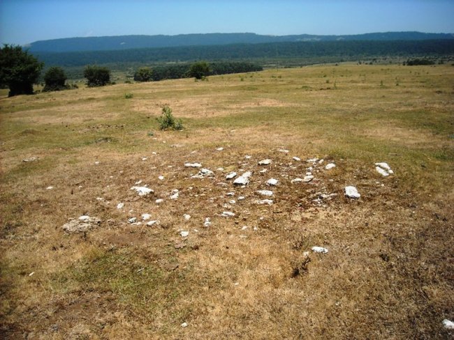 Pedro Txiki mendebalde