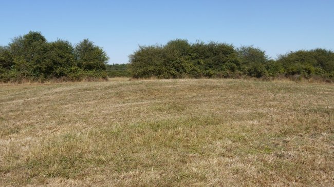 Muino bat nabari da...