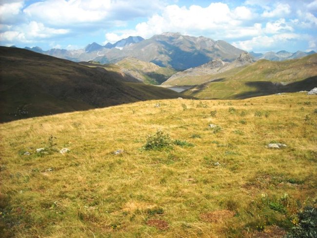 Pocetas de la Cambra