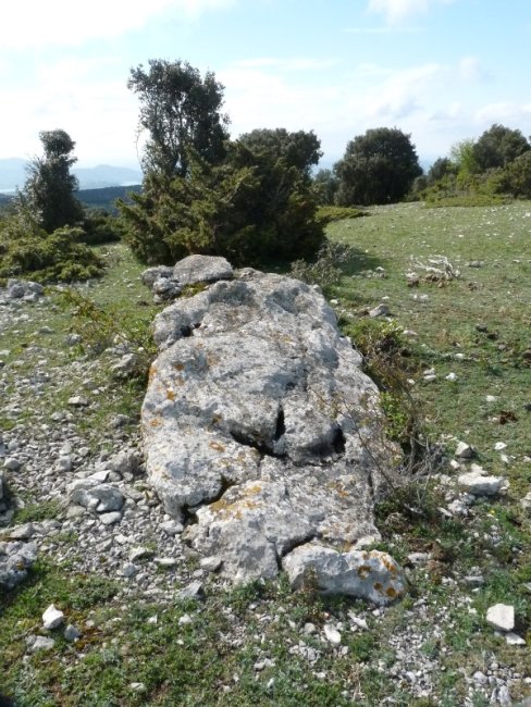 La Planillako zutarria