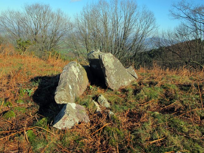 Larria I trikuharria