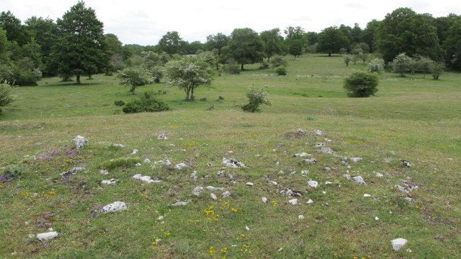 BALTSA BARDOITZA tumulua