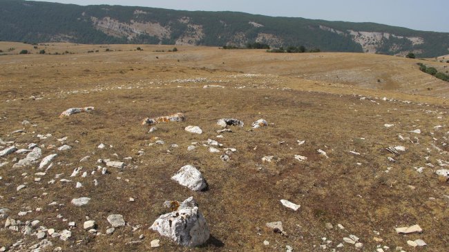 Kalabera eraztun-tumulua, Andia