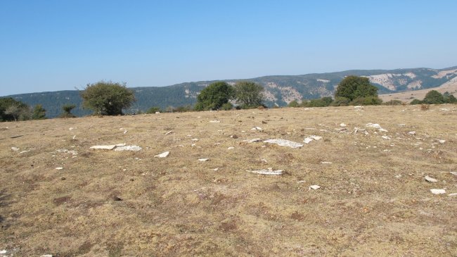 Mirueta 2 eraztun tumulua, Andia