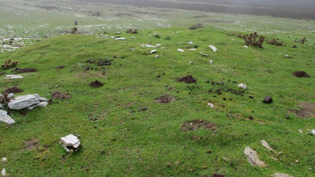 Carabineros txabola tumularra