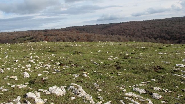 Los Mangones 1 erdi eraztun tumulua, Andia